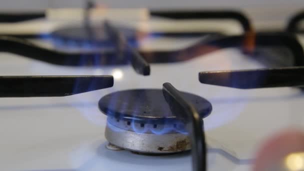 Gas Burner Household Gas Household Gas Impurities Does Burn Blue — Vídeos de Stock