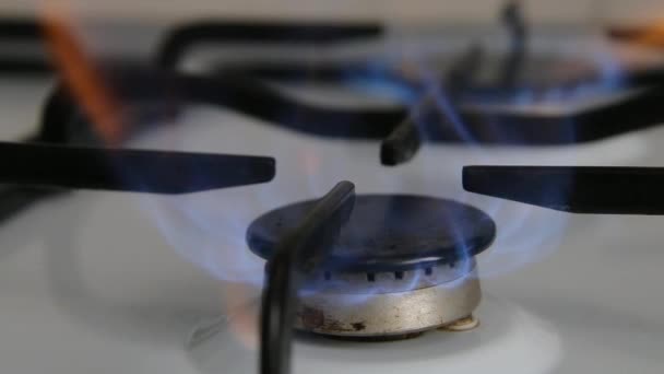 Gasbrenner Vorhanden Haushaltsgas Gasverbrennung Einem Haushaltsgasherd — Stockvideo