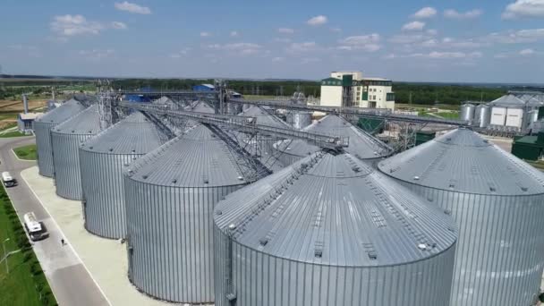 Nagy Ezüst Magtár Gabonatárolás Vegyes Takarmány Előállítására Szolgáló Gyár Mezőgazdasági — Stock videók