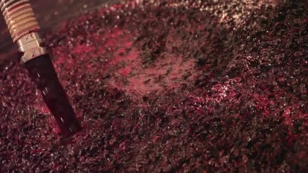 Vinification Production Vin Injection Jus Raisin Dans Des Cuves Fermentation — Video