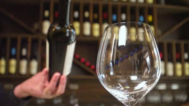 ワインの試飲 ワイン造り ワイン生産 赤ワインはガラスに美しく注がれます スローモーション — ストック動画