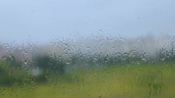 Regendruppels Het Glas Regendruppels Ruit Regendruppels Ruit — Stockvideo