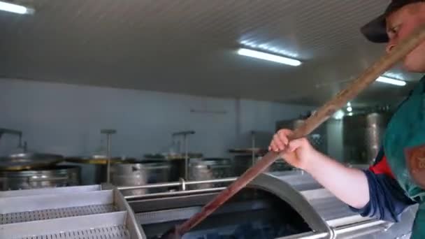Vinnitsa 우크라이나 2023년 Winemaking 포도에서 주스를 짜내기 — 비디오