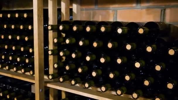 ワイナリーのワインセラー ホーム ワインセラー ワイン ヴォールト — ストック動画