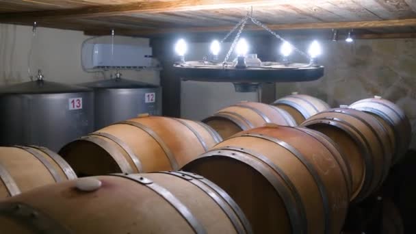 酿酒厂的酒窖家酒西拉 — 图库视频影像
