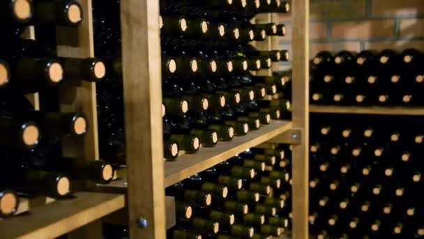 Wine Cellar Winery Home Wine Cellar Wine Vault — Stock Video