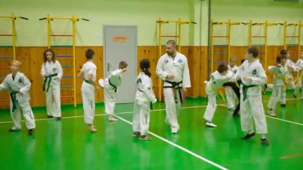 Kyiv Ukraine November 2023 Barnens Taekwondo Barnens Taekwondo Avsnitt Barn — Stockvideo