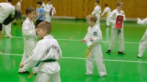 Kiew Ukraine November 2023 Kids Taekwondo Kindertaekwondo Abteilung Kinder Üben — Stockvideo