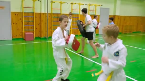 Kyiv Ukraine Νοεμβρίου 2023 Παιδικό Taekwondo Παιδικό Τάε Κβον Ντο — Αρχείο Βίντεο