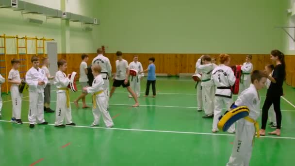 Kyiv 우크라이나 2023년 11월 16일 태권도 아이들은태권도경쟁에준비를하고있습니다 어린이 태권도 체육관의 — 비디오