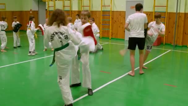 Kyiv Ukraine November 2023 Kids Taekwondo Kids Getting Prepared Taekwondo — Stock Video