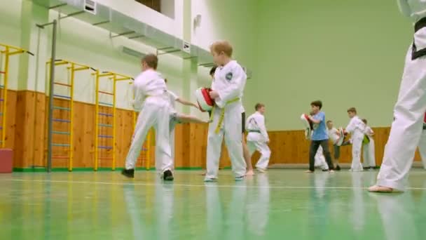 Kyiv Ukraine Listopad 2023 Taekwondo Dla Dzieci Dzieci Przygotowują Się — Wideo stockowe