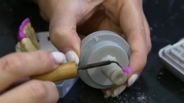 Οδοντοτεχνίτης Δουλεύει Καλούπια Από Οδοντικές Κορώνες Και Οδοντοστοιχίες Κατασκευή Κεραμικών — Αρχείο Βίντεο