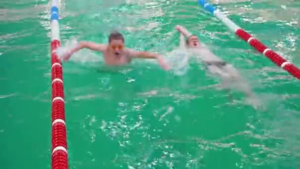Kyiv Ukraine Kasım 2023 Sınıflar Yüzme Yarışmasına Çocuklar Okul Havuzunda — Stok video