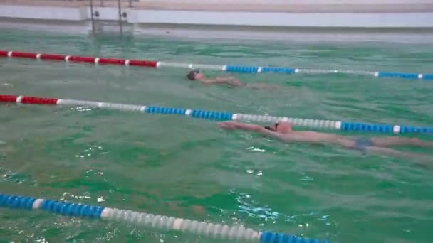 Kyiv Ucrania Noviembre 2023 Juniors Competitive Swimming Los Niños Aprenden — Vídeos de Stock