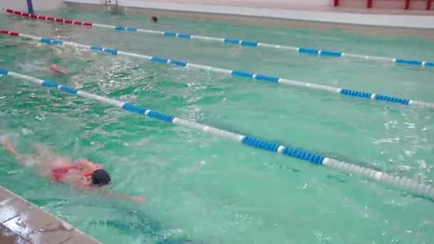 Kiew Ukraine November 2023 Juniorinnen Leistungsschwimmen Kinder Lernen Schulschwimmbecken Schwimmen — Stockvideo