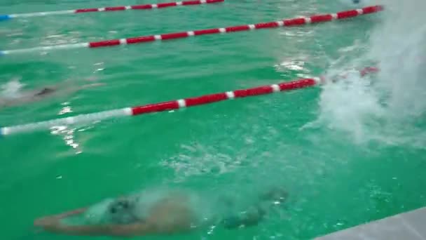 Kyiv Ukraine November 2023 Juniors Competitive Swimming Children Learn Swim — Stock Video