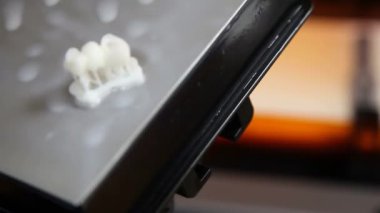 3 boyutlu bir yazıcıda diş kaplaması baskısı. Diş kliniğinde seramik protez üretimi. İmplantlar için seramik diş başlıkları. 