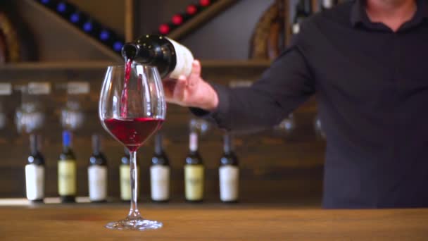 赤ワインは美しくガラスに注がれています バーテンダーは赤ワインをグラスに注いでいる ワインの生産 — ストック動画