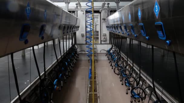 Producción Carne Lácteos Granero Moderno Granja Vacas — Vídeos de Stock