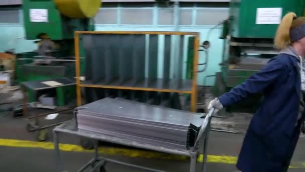 Vinnytsia Ukraine February 2024 Factory Hydraulic Press 液压压力机上钢板零件的冲压 新闻编辑镜头上的冲撞 — 图库视频影像