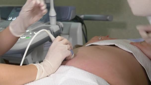 Ultralydundersøkelse Fosteret Til Gravid Kvinne Ultralydskanner Apparat Til Ultralydundersøkelse – stockvideo