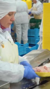 LADYZHIN, UKRAINE, AĞUSTOS 3, 2018: tavuk eti üretim ve işleme. Tavuk ızgaralarını işlemek ve paketlemek için konveyör hattı. Kümes hayvanları et işleme. 