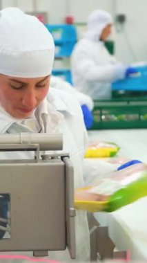 LADYZHIN, UKRAINE, AĞUSTOS 3, 2018: tavuk eti üretim ve işleme. Tavuk ızgaralarını işlemek ve paketlemek için konveyör hattı. Kümes hayvanları et işleme - editörlük görüntüleri