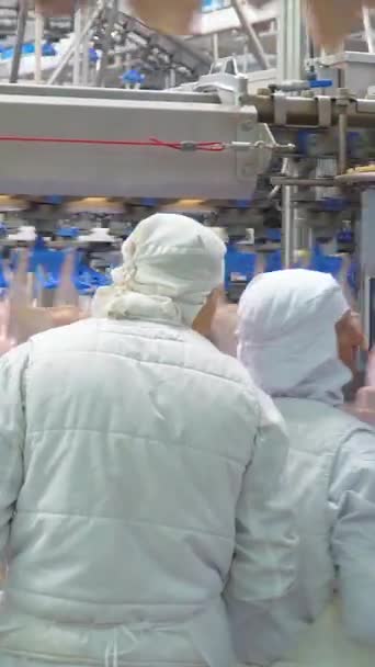 Ladyzhin Ukraine August 2018 鶏肉の生産と加工について チキンブローラーの処理と包装のためのコンベヤーライン 家禽肉加工 編集された映像 — ストック動画