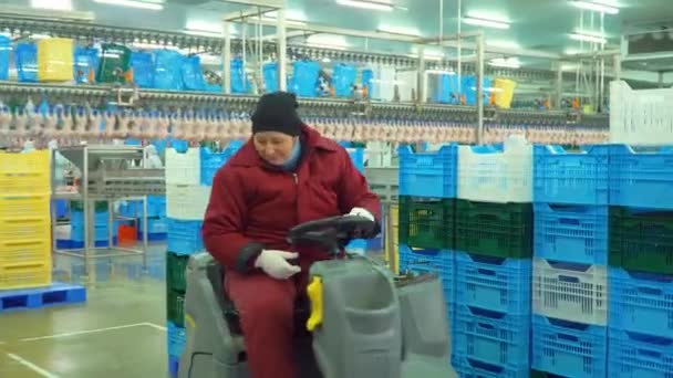 Ladyzhin Ukraine Sierpnia 2018 Produkcja Przetwórstwo Mięsa Drobiowego Linia Transportująca — Wideo stockowe