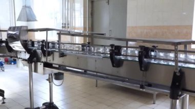 Video seti: Pancarlı yabanturpu üretimi. Yabanturpunu yemek çeşnisine çeviriyorum. Kırmızı pancarlı yaban turpunu paketlemek için taşıyıcı. 