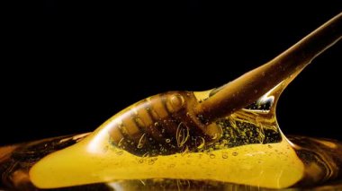 Arı balı. Bal yavaşça akıyor..