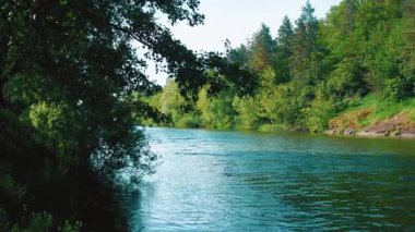Nehir kenarındaki muhteşem yaz doğası. Yazın gün batımında güneş ışığında güzel bir nehir. Nehrin sakin akışı. Gökyüzünün yansıması ve sudaki ağaçlar. 