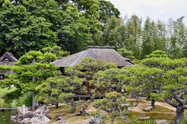 OKAYAMA, JAPONYA - 22 Mayıs 2023: Japonya 'nın Okayama kentinde popüler bir turizm merkezi olan güzel Korakuen Bahçesi' nde sakin bir yürüyüş yapan ziyaretçiler. 