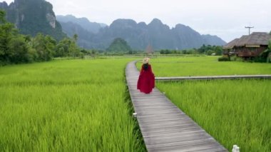 4K video İHA 'nın hava görüntüsü. Vang Vieng, Laos 'taki tahta yol ve yeşil pirinç tarlası..