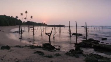 Gün doğumunda Sri Lanka 'da zaman aşımı 4k Stilt balıkçı sopaları.