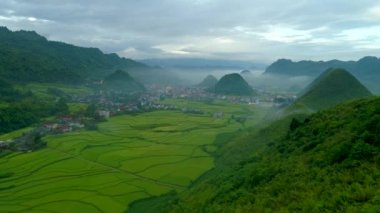 Tam Son kasabası, Quan Ba Bölgesi, Ha Giang Eyaleti, Vietnam 'da bulunan Paddy hava aracı tarlalarının 4k görüntüsü..
