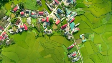 Tam Son kasabası, Quan Ba Bölgesi, Ha Giang Eyaleti, Vietnam 'da bulunan Paddy hava aracı tarlalarının 4k görüntüsü..