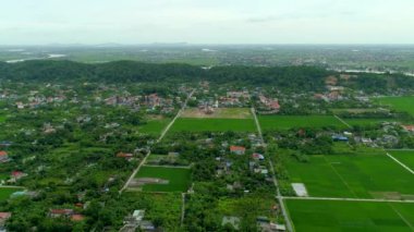 İHA 'dan hava görüntüsü 4k video. Rice Paddy, Tuyet Tinh Coc, Hai Phong, Vietnam.