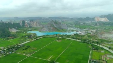 İHA 'dan hava görüntüsü 4k video. Rice Paddy, Tuyet Tinh Coc, Hai Phong, Vietnam.