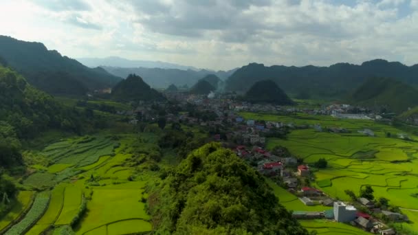 Видео Воздуха Дрона Paddy Fields Расположенного Городе Сон Район Куан — стоковое видео