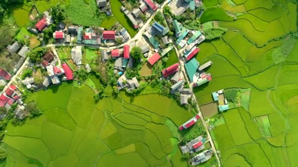 Vista Aérea Video Drone Paddy Fields Located Tam Son Town — Vídeos de Stock