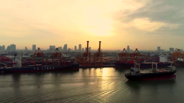 Aerial View Video Drone Container Ships Lifting Cranes Port Bangkok — Stock Video