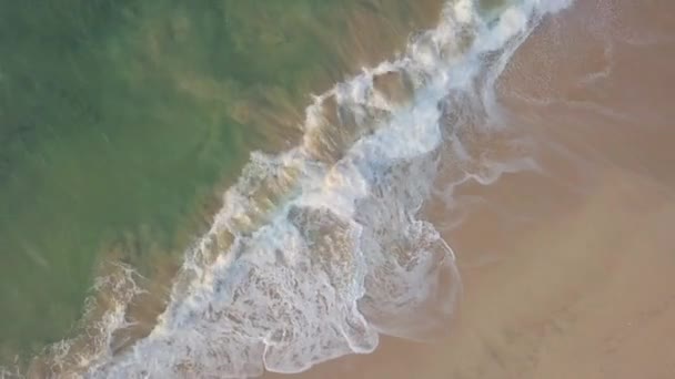 空中上からの眺めドローン4K映像コガラビーチ 波と海 スリランカ — ストック動画