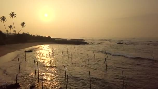 Aerial Top View Drone Stilt Fishing Sticks Sri Lanka Sunrise — Stock Video