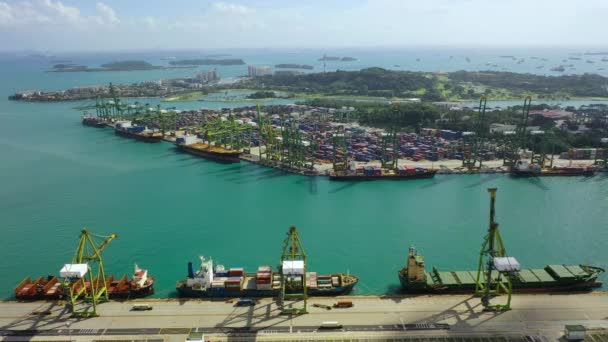 Drone Aerial View Footage Shipping Containers Port Singapore Dalam Bahasa — Stok Video