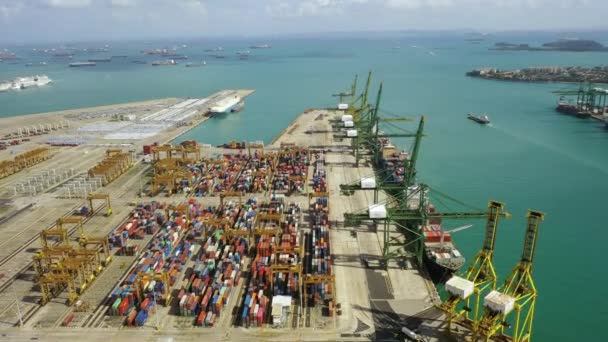 2020 Singapore Drone Aerial View Footage Shipping Containers Port Singapore — Stock Video