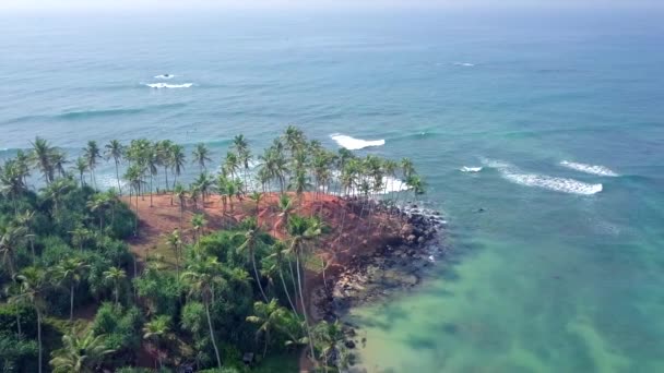Luchtfoto Bekijk Drone Beelden Van Coconut Tree Hill Mirissa Sri — Stockvideo