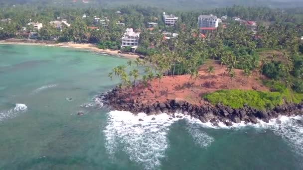 Luchtfoto Bekijk Drone Beelden Van Coconut Tree Hill Mirissa Sri — Stockvideo