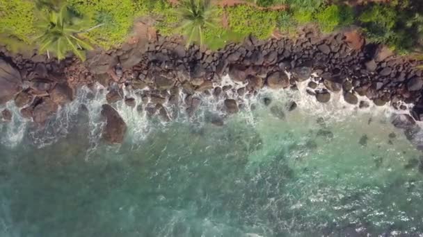 Drohne Aus Der Luft Aufnahmen Vom Coconut Tree Hill Mirissa — Stockvideo